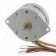 Stepper Motor PM42S (6 Wire)